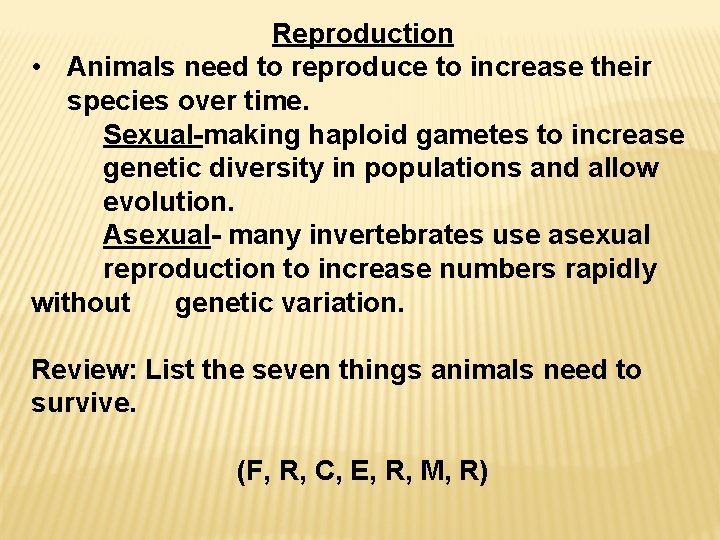Reproduction • Animals need to reproduce to increase their species over time. Sexual-making haploid