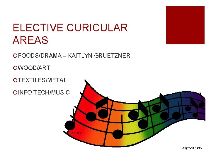 ELECTIVE CURICULAR AREAS ¡FOODS/DRAMA – KAITLYN GRUETZNER ¡WOOD/ART ¡TEXTILES/METAL ¡INFO TECH/MUSIC 