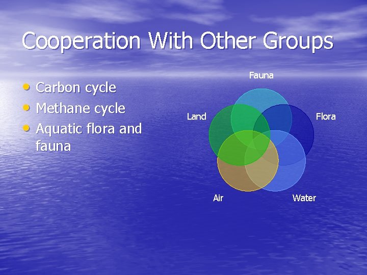 Cooperation With Other Groups • Carbon cycle • Methane cycle • Aquatic flora and