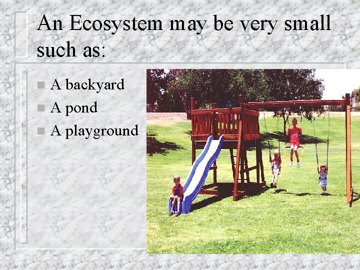 An Ecosystem may be very small such as: A backyard n A pond n