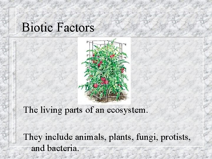 Biotic Factors The living parts of an ecosystem. They include animals, plants, fungi, protists,