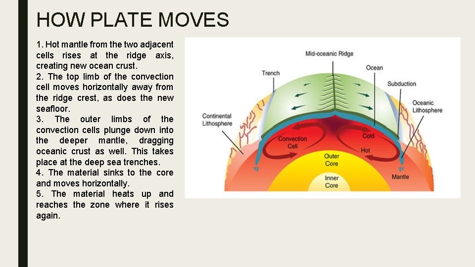 HOW PLATE MOVES 1. Hot mantle from the two adjacent cells rises at the