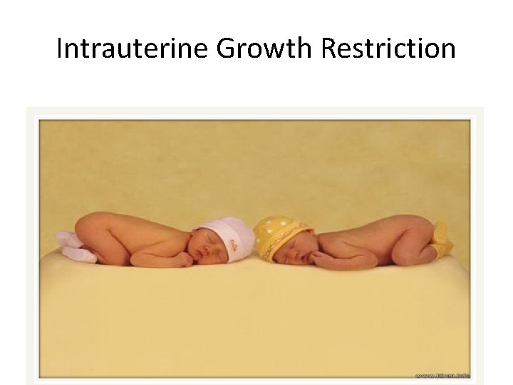 Intrauterine Growth Restriction 