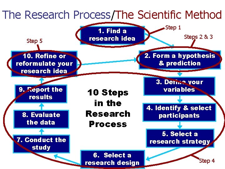 The Research Process/The Scientific Method Step 5 1. Find a research idea 8. Evaluate