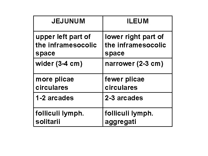 JEJUNUM ILEUM upper left part of the inframesocolic space lower right part of the