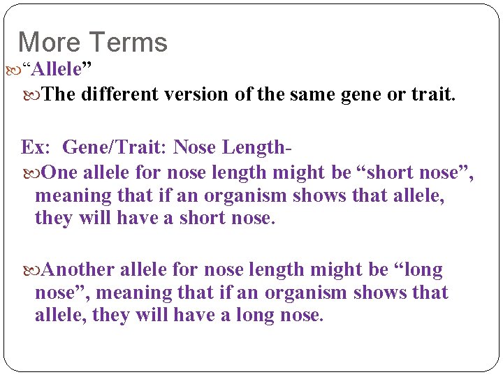 More Terms “Allele” The different version of the same gene or trait. Ex: Gene/Trait: