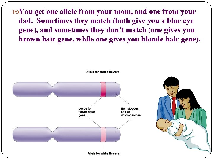  You get one allele from your mom, and one from your dad. Sometimes