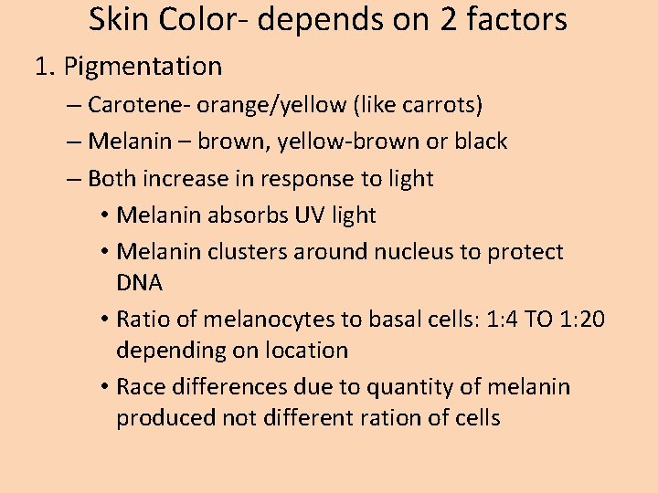 Skin Color- depends on 2 factors 1. Pigmentation – Carotene- orange/yellow (like carrots) –