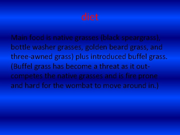 diet Main food is native grasses (black speargrass), bottle washer grasses, golden beard grass,