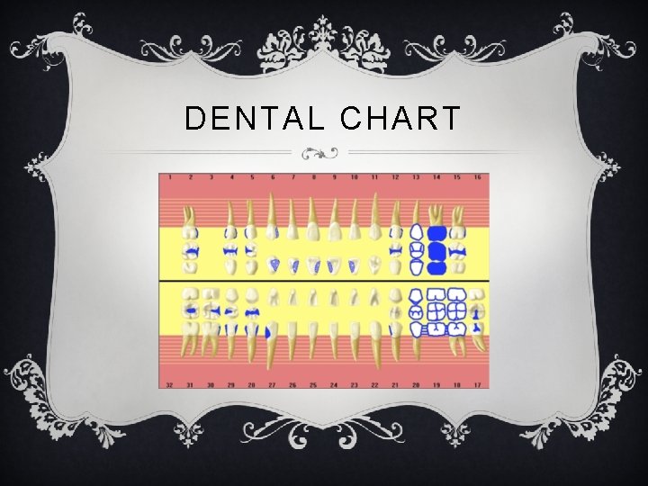 DENTAL CHART 