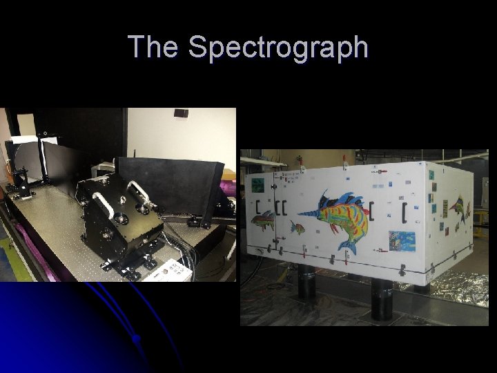 The Spectrograph 