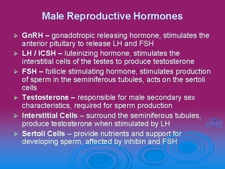 Male Reproductive Hormones Ø Ø Ø Gn. RH – gonadotropic releasing hormone, stimulates the