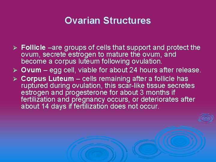 Ovarian Structures Follicle –are groups of cells that support and protect the ovum, secrete