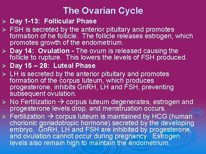 The Ovarian Cycle Ø Ø Ø Ø Day 1 -13: Follicular Phase FSH is