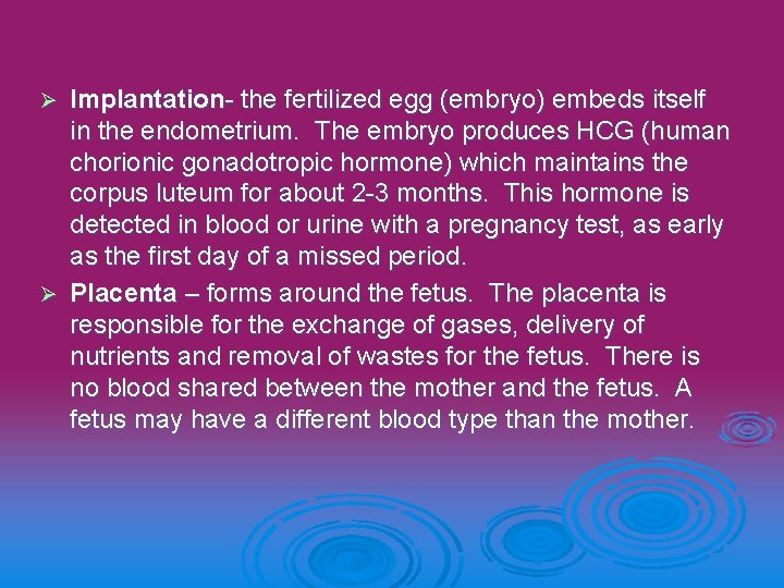 Implantation- the fertilized egg (embryo) embeds itself in the endometrium. The embryo produces HCG