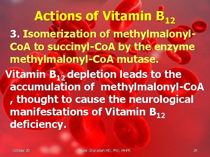 Actions of Vitamin B 12 3. Isomerization of methylmalonyl. Co. A to succinyl-Co. A