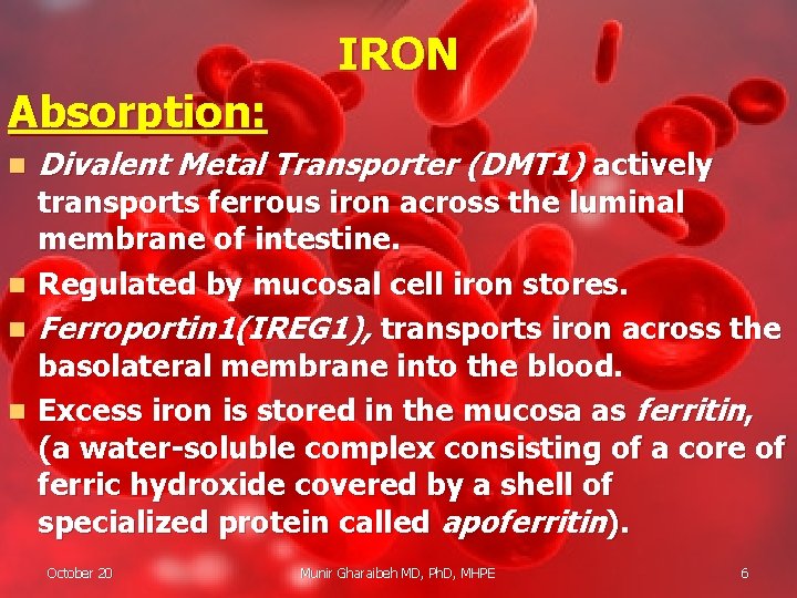 IRON Absorption: n n Divalent Metal Transporter (DMT 1) actively transports ferrous iron across
