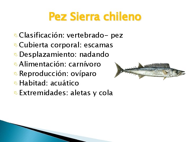 Pez Sierra chileno Clasificación: vertebrado- pez Cubierta corporal: escamas Desplazamiento: nadando Alimentación: carnívoro Reproducción: