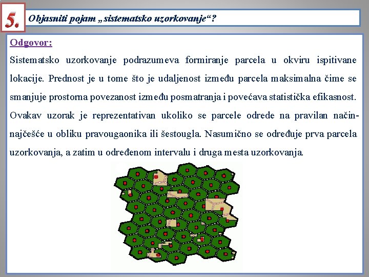 5. Objasniti pojam „sistematsko uzorkovanje“? Odgovor: Sistematsko uzorkovanje podrazumeva formiranje parcela u okviru ispitivane