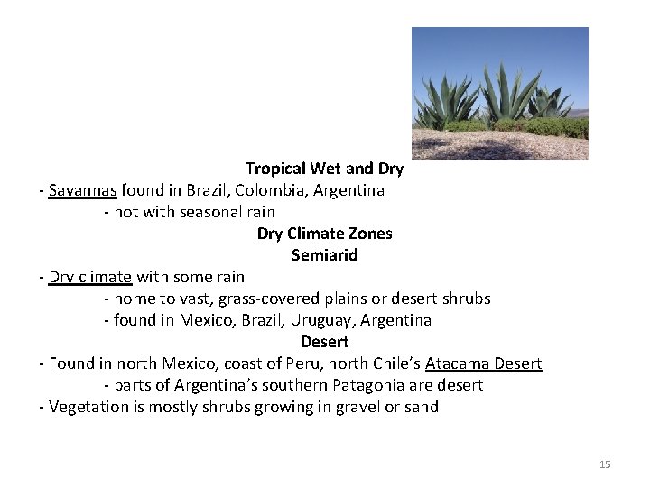 Tropical Wet and Dry - Savannas found in Brazil, Colombia, Argentina - hot with