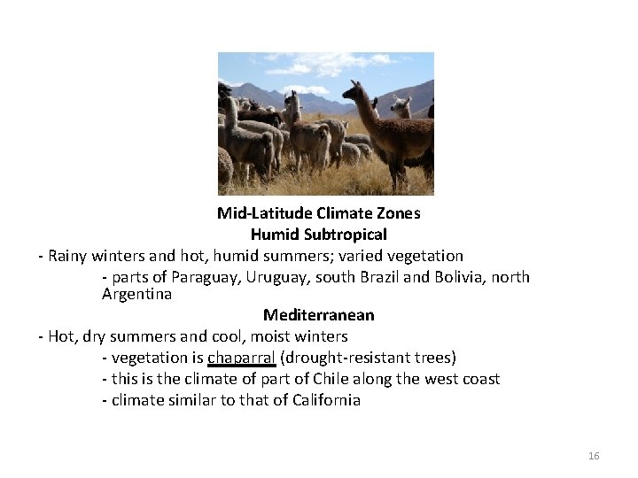 Mid-Latitude Climate Zones Humid Subtropical - Rainy winters and hot, humid summers; varied vegetation