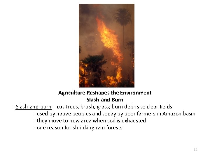 Agriculture Reshapes the Environment Slash-and-Burn - Slash-and-burn—cut trees, brush, grass; burn debris to clear