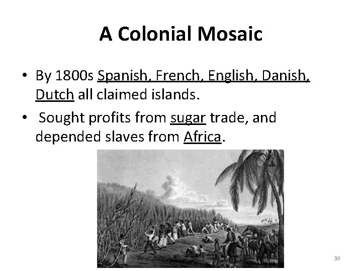 A Colonial Mosaic • By 1800 s Spanish, French, English, Danish, Dutch all claimed