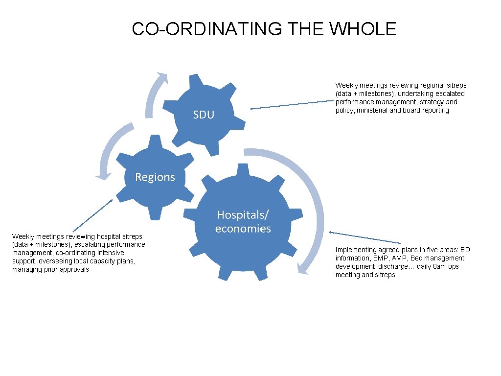 CO-ORDINATING THE WHOLE Weekly meetings reviewing regional sitreps (data + milestones), undertaking escalated performance