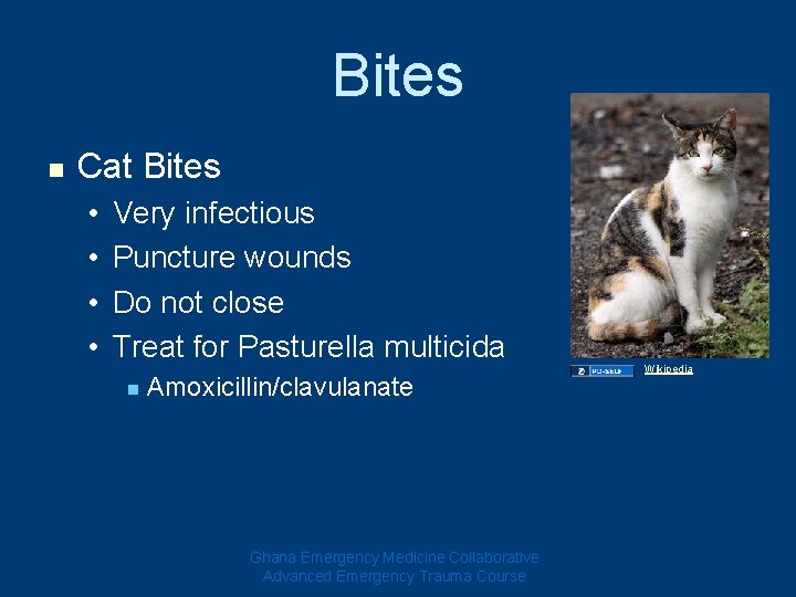 Bites n Cat Bites • • Very infectious Puncture wounds Do not close Treat Bites n Cat Bites • • Very infectious Puncture wounds Do not close Treat