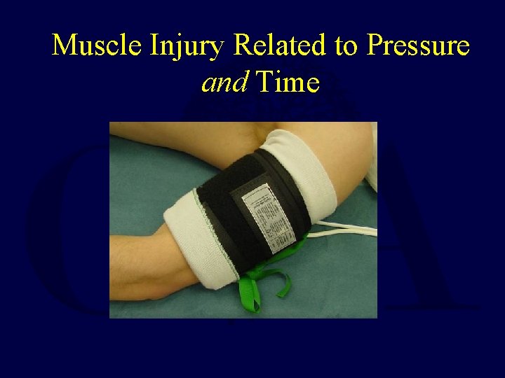 Muscle Injury Related to Pressure and Time 