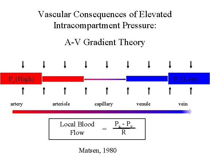 Vascular Consequences of Elevated Intracompartment Pressure: A-V Gradient Theory Pa (High) artery Pv (Low)