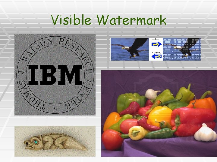 Visible Watermark Visible Watermark