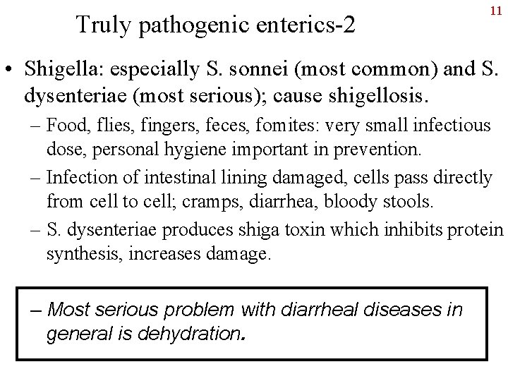 Truly pathogenic enterics-2 11 • Shigella: especially S. sonnei (most common) and S. dysenteriae