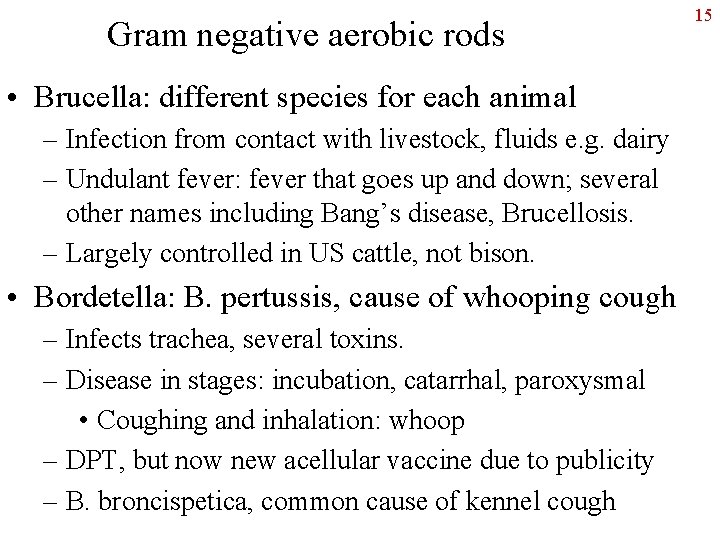 Gram negative aerobic rods • Brucella: different species for each animal – Infection from