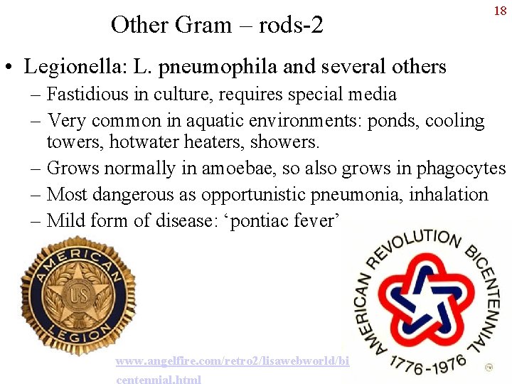 Other Gram – rods-2 18 • Legionella: L. pneumophila and several others – Fastidious