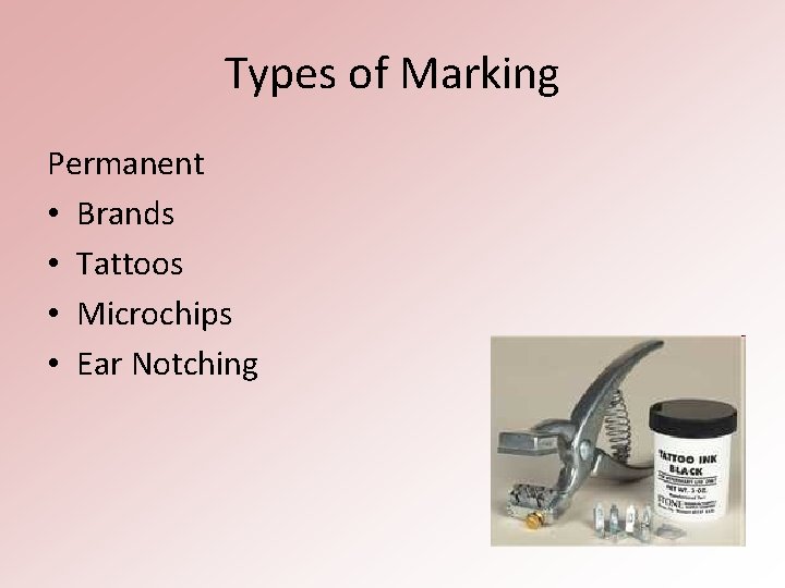 Types of Marking Permanent • Brands • Tattoos • Microchips • Ear Notching 