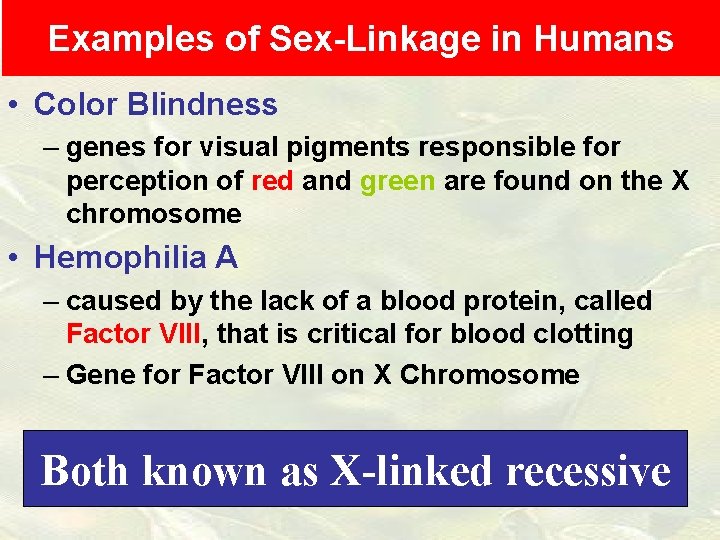 Examples of Sex-Linkage in Humans • Color Blindness – genes for visual pigments responsible