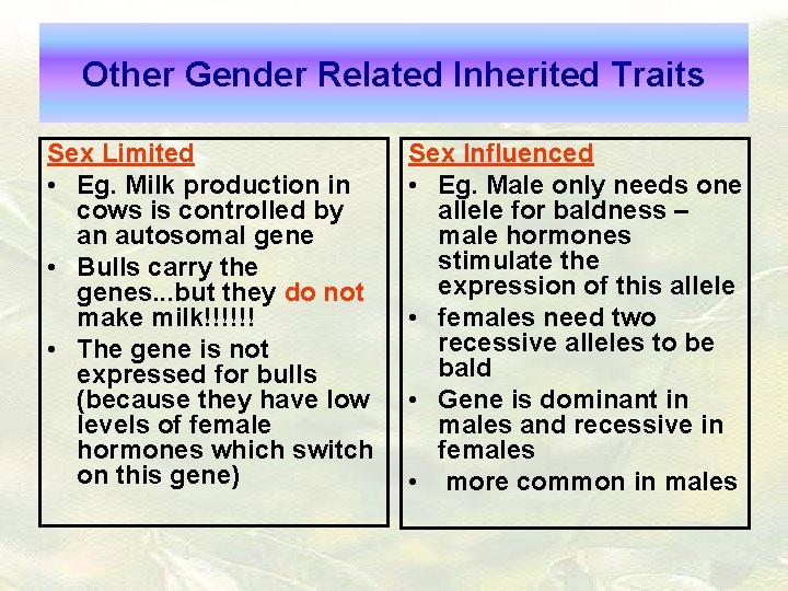 Other Gender Related Inherited Traits Sex Limited • Eg. Milk production in cows is