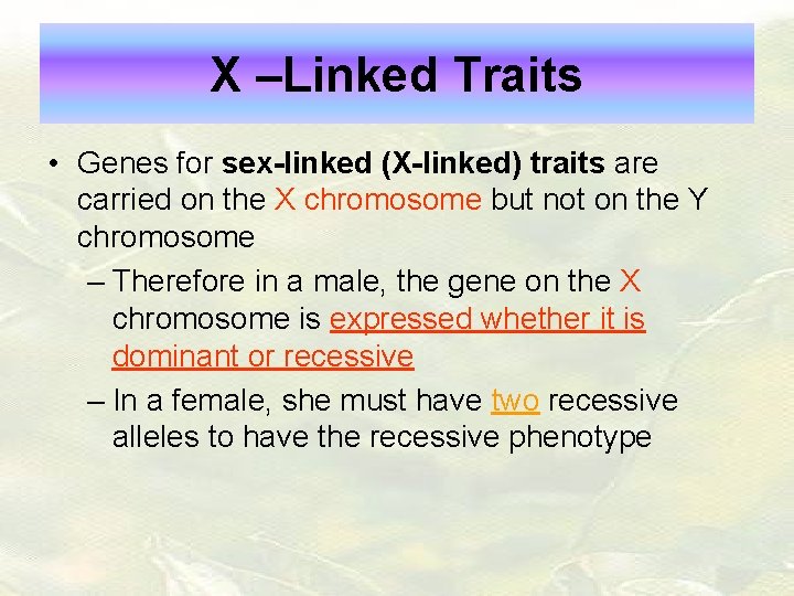 X –Linked Traits • Genes for sex-linked (X-linked) traits are carried on the X