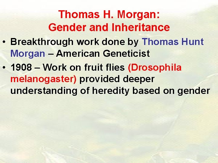 Thomas H. Morgan: Gender and Inheritance • Breakthrough work done by Thomas Hunt Morgan