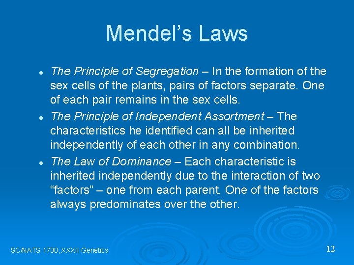 Mendel’s Laws l l l The Principle of Segregation – In the formation of