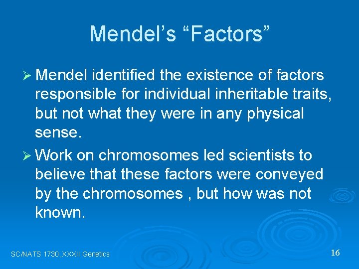 Mendel’s “Factors” Ø Mendel identified the existence of factors responsible for individual inheritable traits,