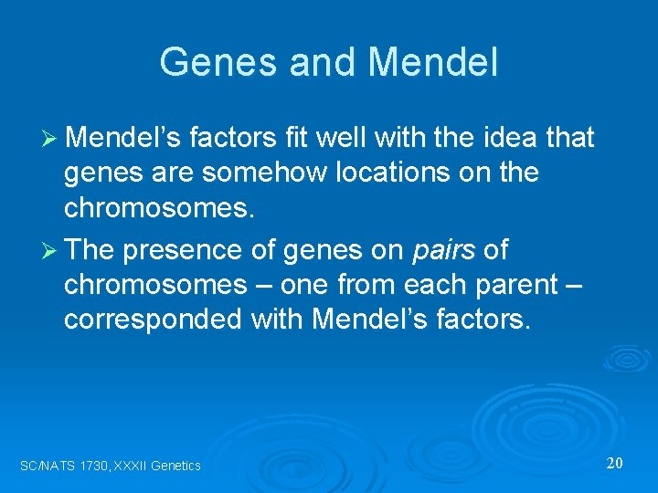 Genes and Mendel Ø Mendel’s factors fit well with the idea that genes are