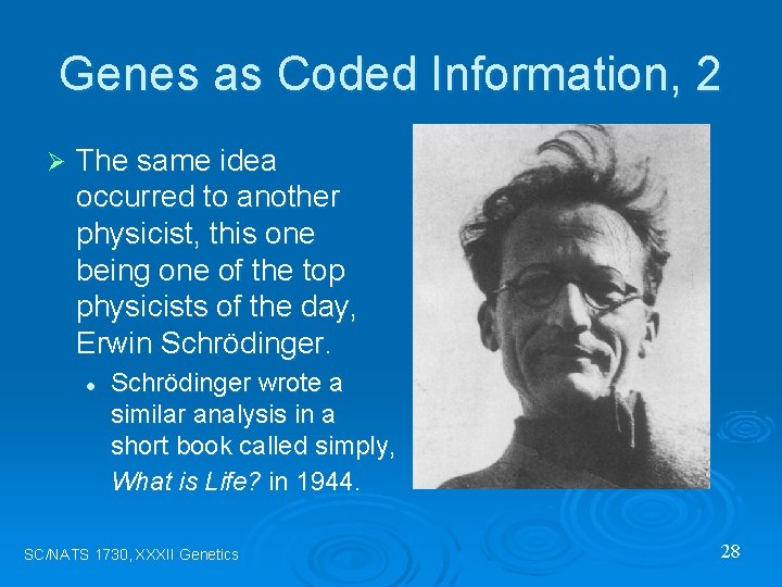 Genes as Coded Information, 2 Ø The same idea occurred to another physicist, this
