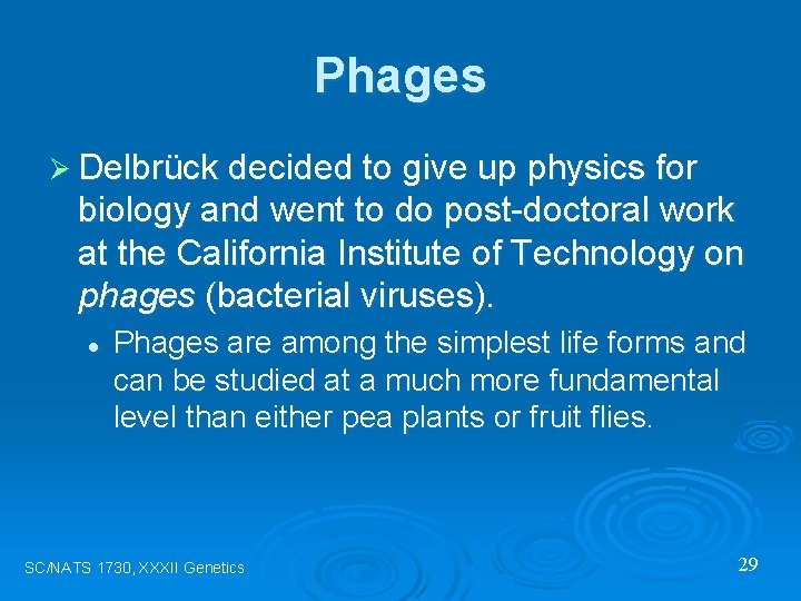 Phages Ø Delbrück decided to give up physics for biology and went to do