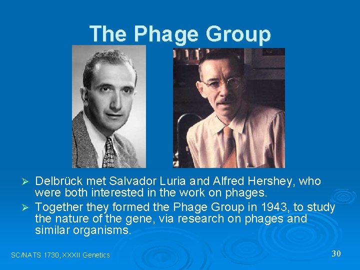 The Phage Group Delbrück met Salvador Luria and Alfred Hershey, who were both interested