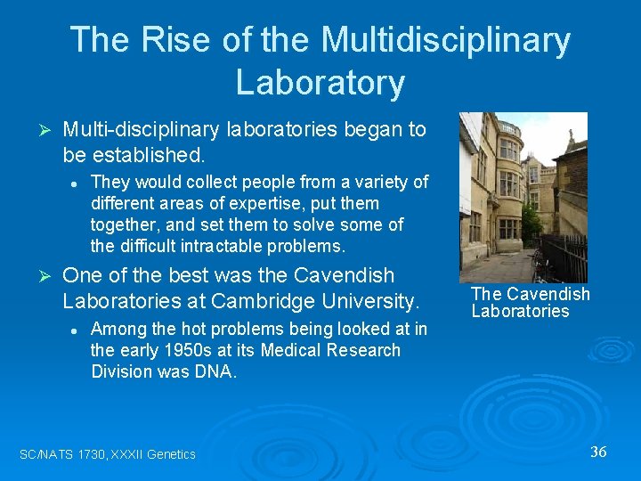The Rise of the Multidisciplinary Laboratory Ø Multi-disciplinary laboratories began to be established. l