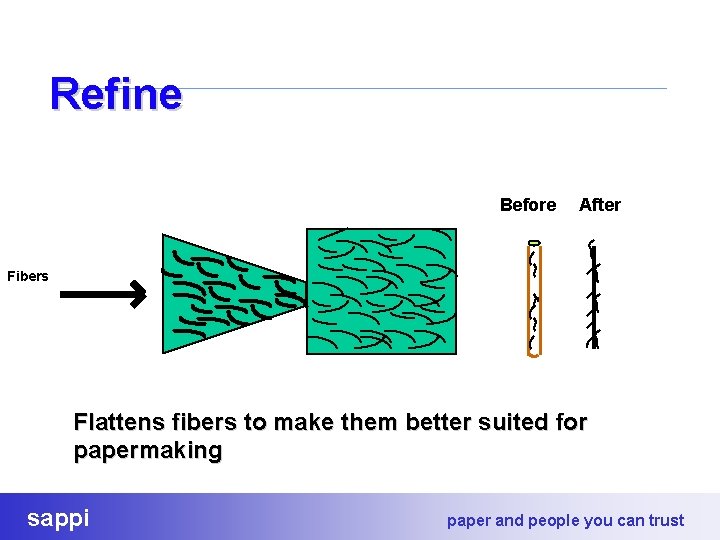 Refine Before After Fibers Flattens fibers to make them better suited for papermaking sappi