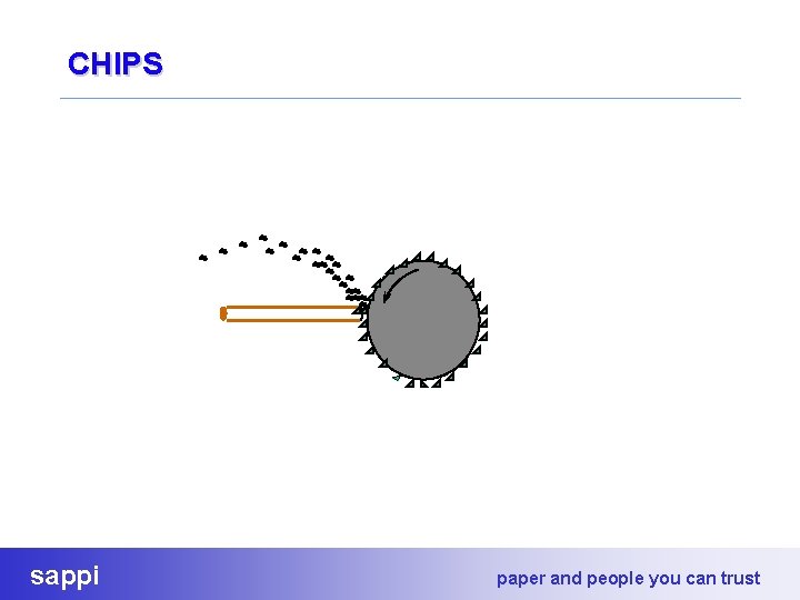 CHIPS sappi paper and people you can trust 