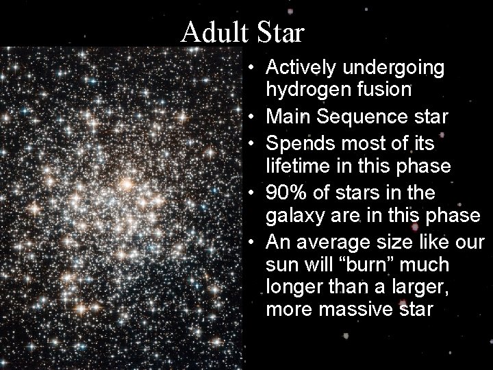 Adult Star • Actively undergoing hydrogen fusion • Main Sequence star • Spends most